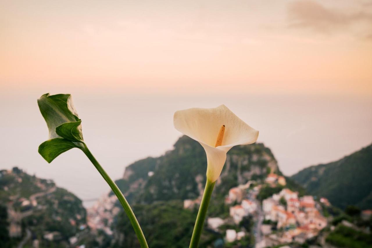 Casa Bellavista Scala Minuta Amalfi Coast Lejlighed Eksteriør billede